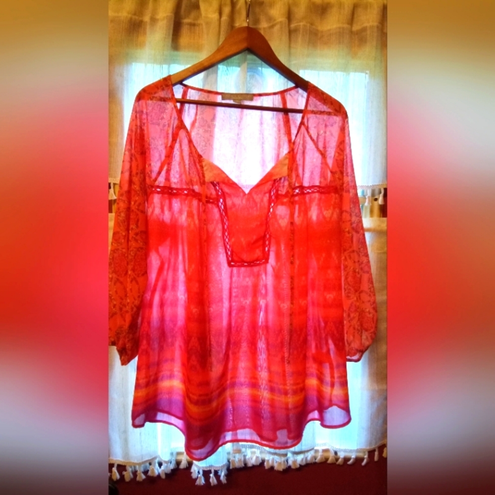 Valerie Stevens sheer tunic blouse